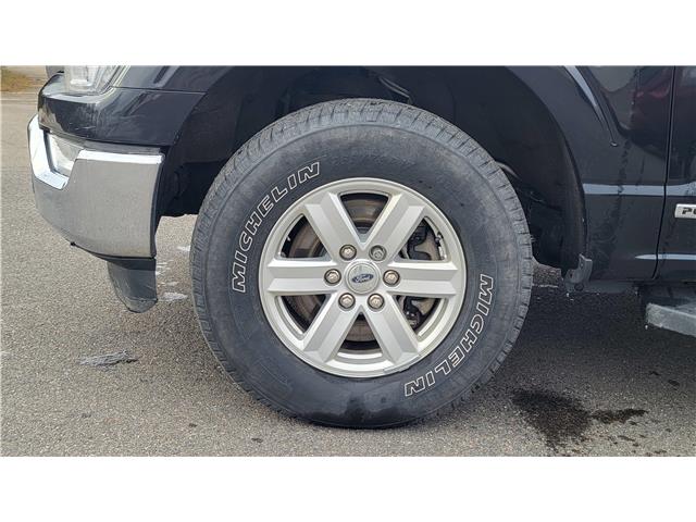 2021 Ford F-150 XLT (Stk: N106532A) in Saint John - Image 11 of 13