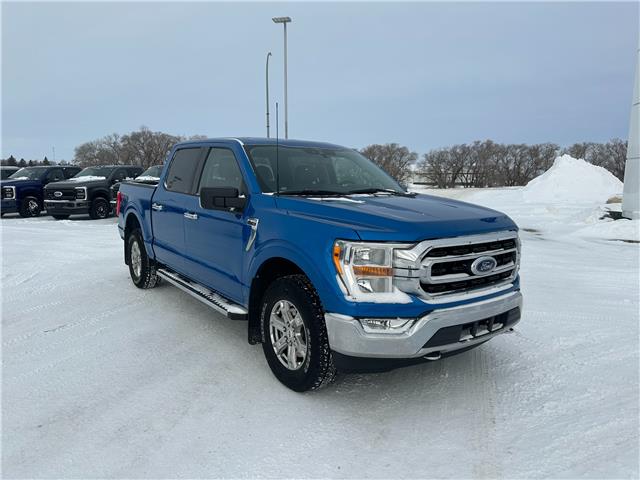 2021 Ford F-150 XLT (Stk: U67491) in Hague - Image 3 of 15