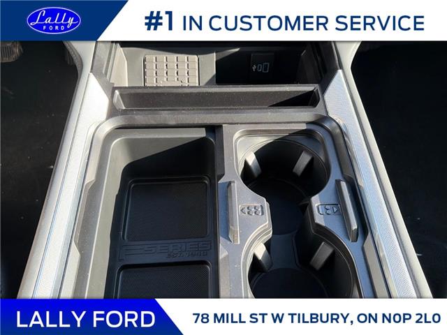 2026 Ford F-250 Platinum (Stk: LFFF01460) in Tilbury - Image 14 of 15