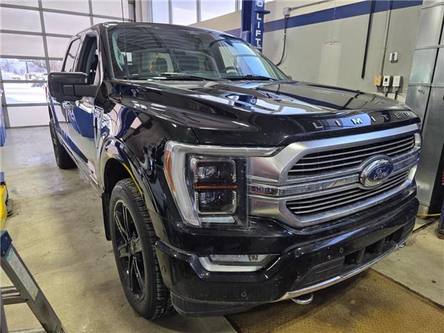 2022 Ford F-150 Limited (Stk: 26041A) in Rouyn-Noranda - Image 3 of 17