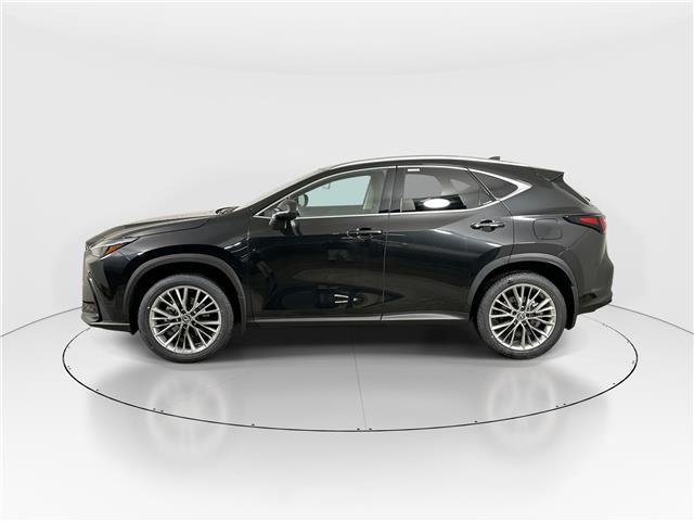 2026 Lexus NX 350h  (Stk: 15105392) in Richmond Hill - Image 4 of 21