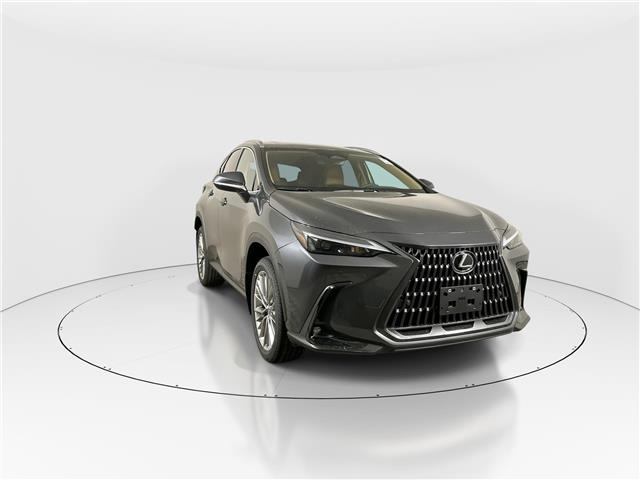 2026 Lexus NX 350  (Stk: 15105427) in Richmond Hill - Image 3 of 19