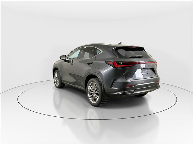 2026 Lexus NX 350  (Stk: 15105427) in Richmond Hill - Image 6 of 19
