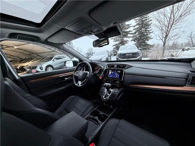 2020 Honda CR-V EX-L (Stk: 260216A) in Calgary - Image 9 of 19