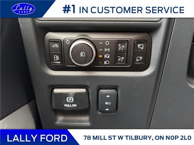 2025 Ford F-150 Platinum (Stk: LFFF01476) in Tilbury - Image 9 of 15