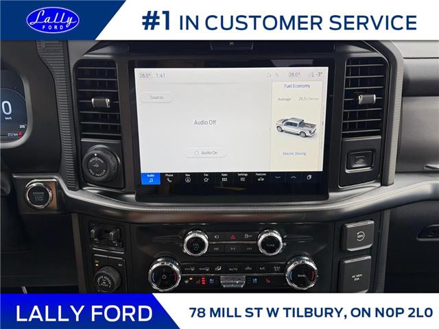 2025 Ford F-150 Platinum (Stk: LFFF01476) in Tilbury - Image 13 of 15