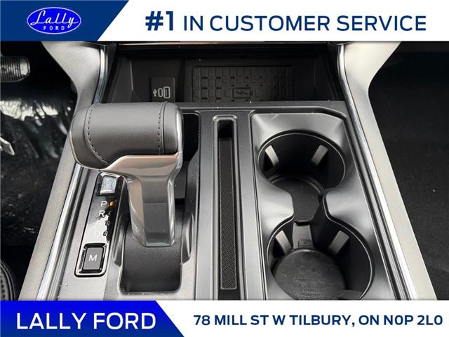 2025 Ford F-150 Platinum (Stk: LFFF01476) in Tilbury - Image 14 of 15