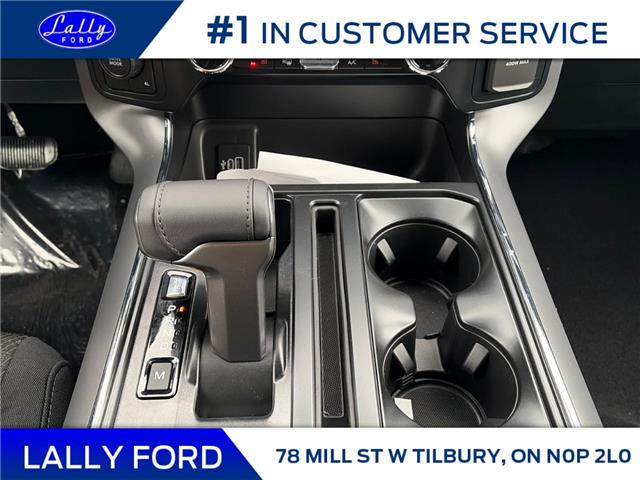 2025 Ford F-150 XLT (Stk: LFFF01412) in Tilbury - Image 14 of 15