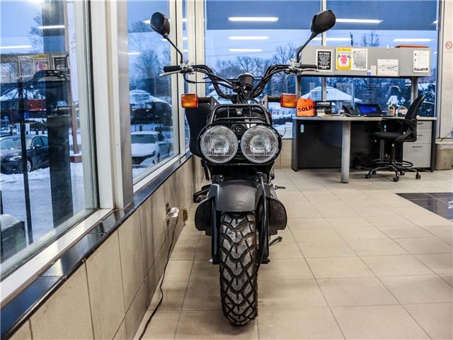 2024 Honda Ruckus NPS50 LOW KMS (Stk: 380683) in Ottawa - Image 2 of 14 2024 Honda Ruckus NPS50 LOW KMS (Stk: 380683) in Ottawa - Image 2 of 14