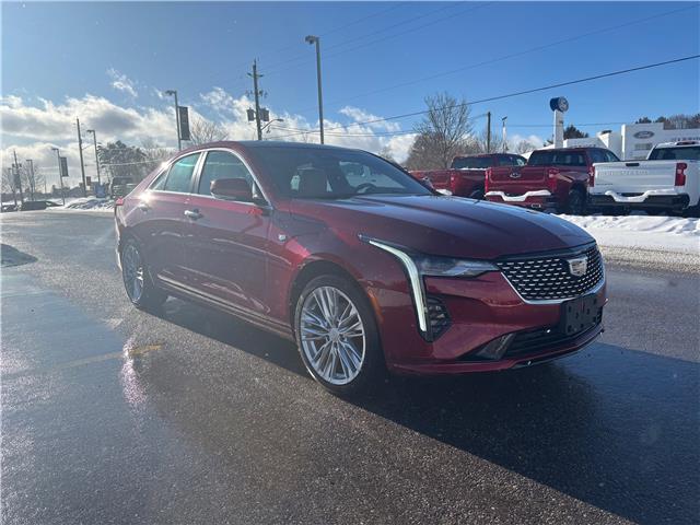 2024 Cadillac CT4 Premium Luxury (Stk: U9068A) in Uxbridge - Image 7 of 9