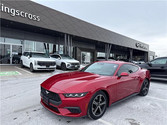 2024 Ford Mustang EcoBoost Premium (Stk: 35776A) in Scarborough - Image 1 of 17