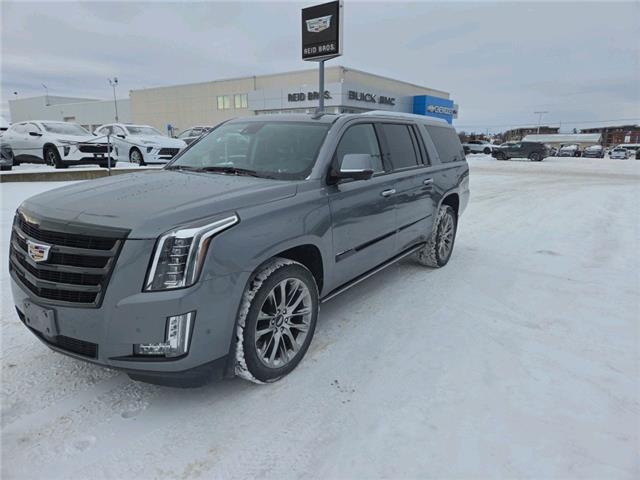 2020 Cadillac Escalade ESV Premium Luxury (Stk: 2026070A) in ARNPRIOR - Image 1 of 24