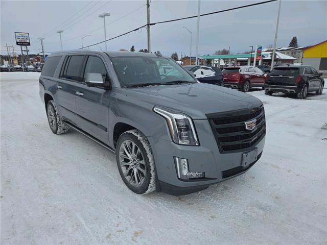 2020 Cadillac Escalade ESV Premium Luxury (Stk: 2026070A) in ARNPRIOR - Image 3 of 24