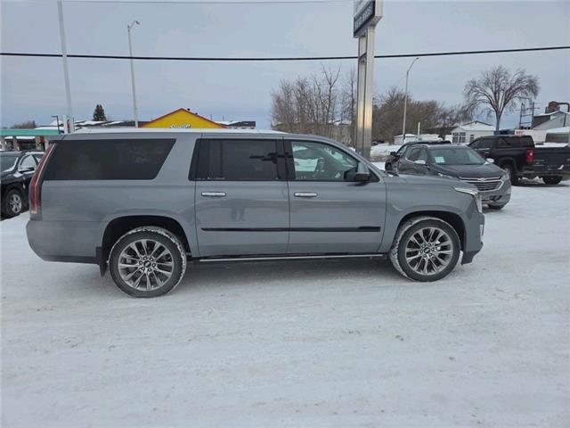 2020 Cadillac Escalade ESV Premium Luxury (Stk: 2026070A) in ARNPRIOR - Image 4 of 24