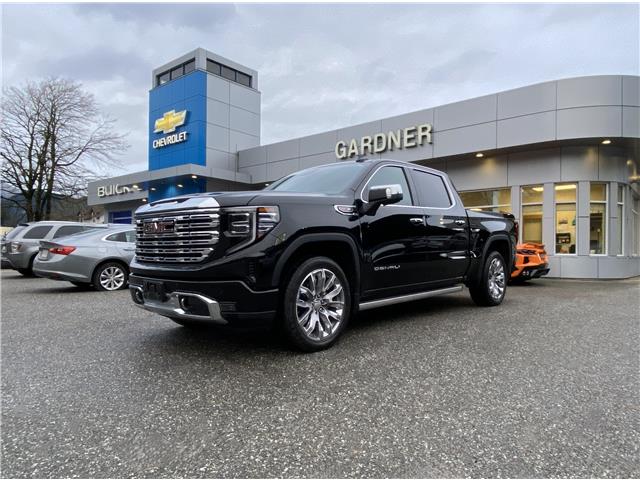 2024 GMC Sierra 1500 Denali (Stk: 6T162A) in Hope - Image 1 of 13