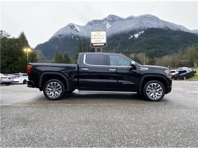 2024 GMC Sierra 1500 Denali (Stk: 6T162A) in Hope - Image 6 of 13
