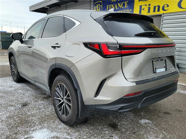 2024 Lexus NX NX 250 AWD (Stk: 6361) in St. Catharines - Image 4 of 26