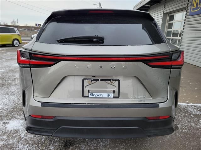 2024 Lexus NX NX 250 AWD (Stk: 6361) in St. Catharines - Image 21 of 26