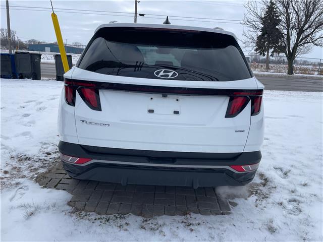 2024 Hyundai Tucson Preferred (Stk: 5B055A) in Chatham - Image 4 of 28