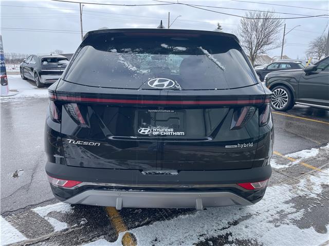 2024 Hyundai Tucson Hybrid Luxury (Stk: 5B054A) in Chatham - Image 4 of 30
