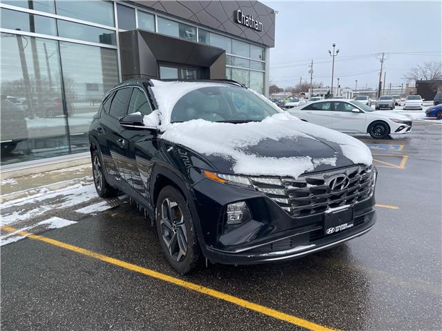 2024 Hyundai Tucson Hybrid Luxury (Stk: 5B054A) in Chatham - Image 9 of 30