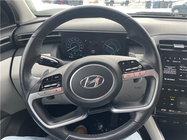 2024 Hyundai Tucson Hybrid Luxury (Stk: 5B054A) in Chatham - Image 14 of 30