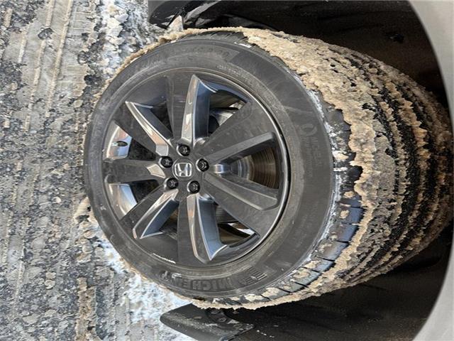 2024 Honda Pilot Sport (Stk: N15280A) in Ottawa - Image 9 of 18