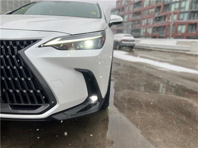 2025 Lexus NX 250 Base (Stk: M14909A) in Toronto - Image 2 of 24