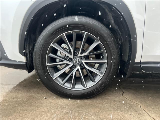2025 Lexus NX 250 Base (Stk: M14909A) in Toronto - Image 4 of 24