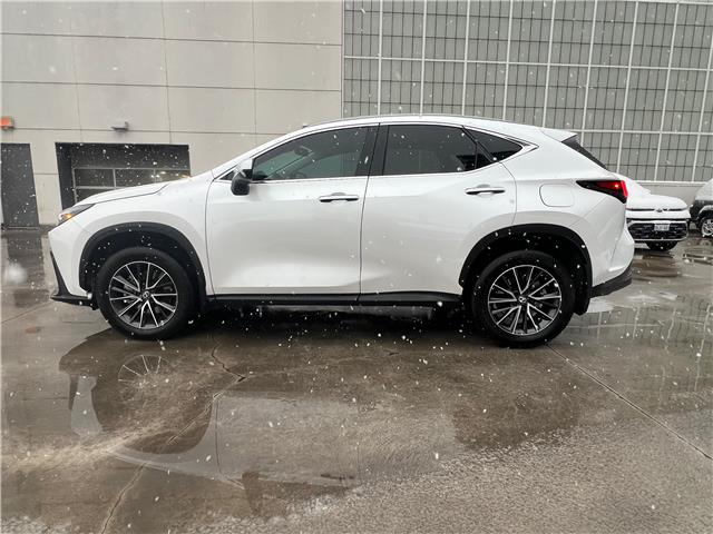 2025 Lexus NX 250 Base (Stk: M14909A) in Toronto - Image 5 of 24