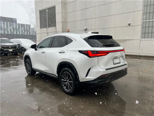 2025 Lexus NX 250 Base (Stk: M14909A) in Toronto - Image 6 of 24