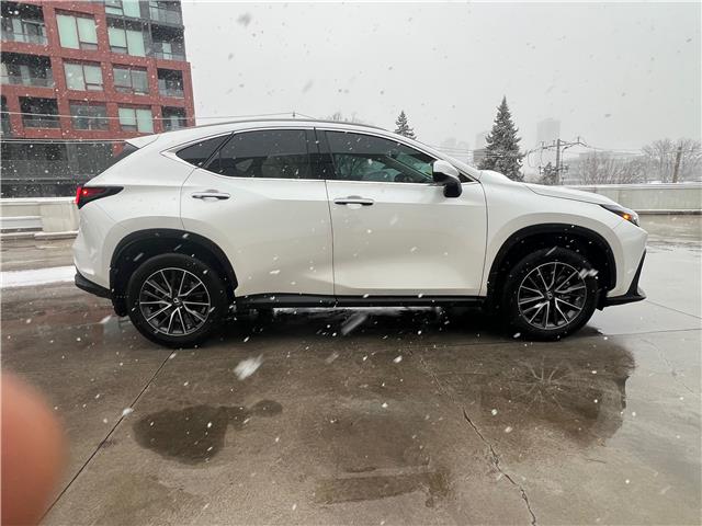 2025 Lexus NX 250 Base (Stk: M14909A) in Toronto - Image 7 of 24