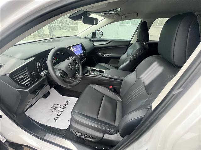 2025 Lexus NX 250 Base (Stk: M14909A) in Toronto - Image 17 of 24