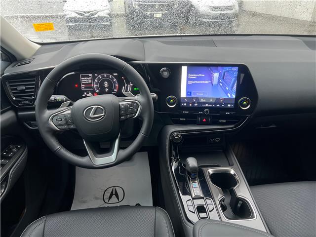 2025 Lexus NX 250 Base (Stk: M14909A) in Toronto - Image 20 of 24