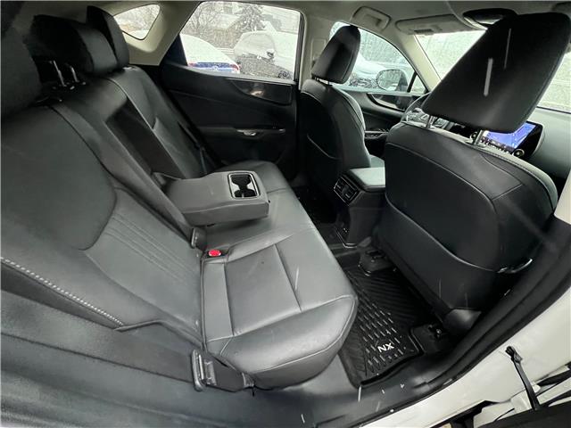 2025 Lexus NX 250 Base (Stk: M14909A) in Toronto - Image 22 of 24