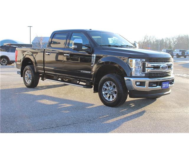 2019 Ford F-250 XLT (Stk: LT243A) in Harrow - Image 3 of 12