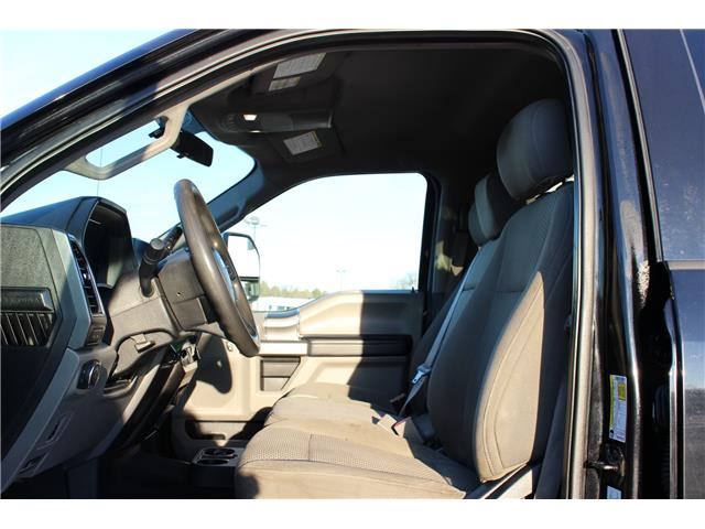 2019 Ford F-250 XLT (Stk: LT243A) in Harrow - Image 8 of 12