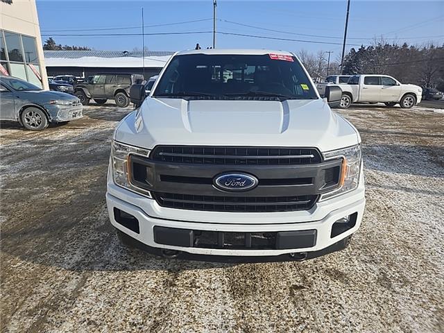 2019 Ford F-150  (Stk: S218A) in Miramichi - Image 8 of 13