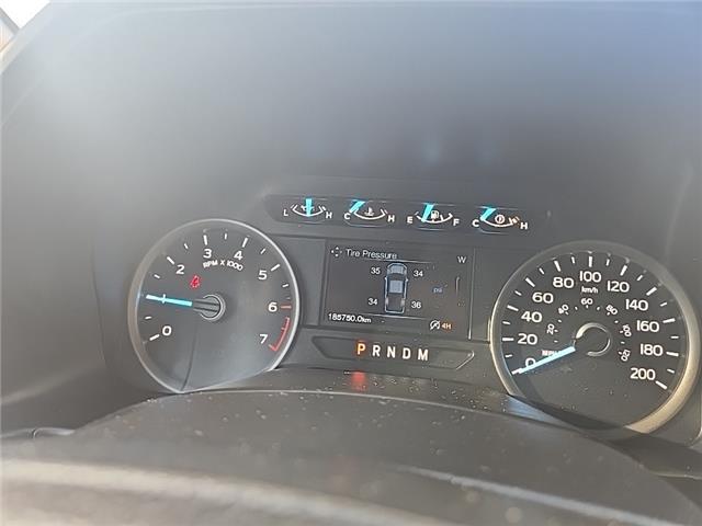 2019 Ford F-150  (Stk: S218A) in Miramichi - Image 9 of 13