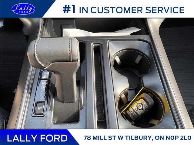 2025 Ford F-150 Lariat (Stk: LFFF01509) in Tilbury - Image 14 of 15