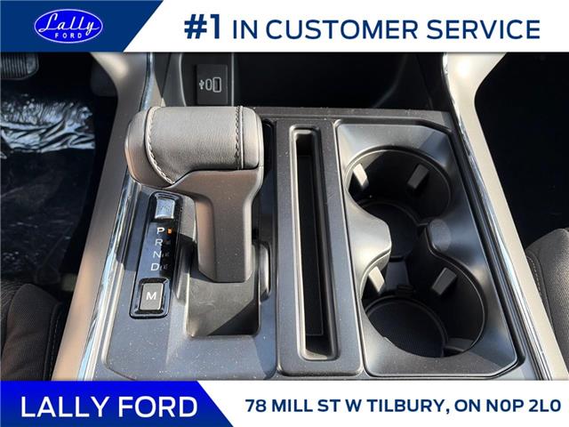 2025 Ford F-150 XLT (Stk: LFFF01174) in Tilbury - Image 14 of 15