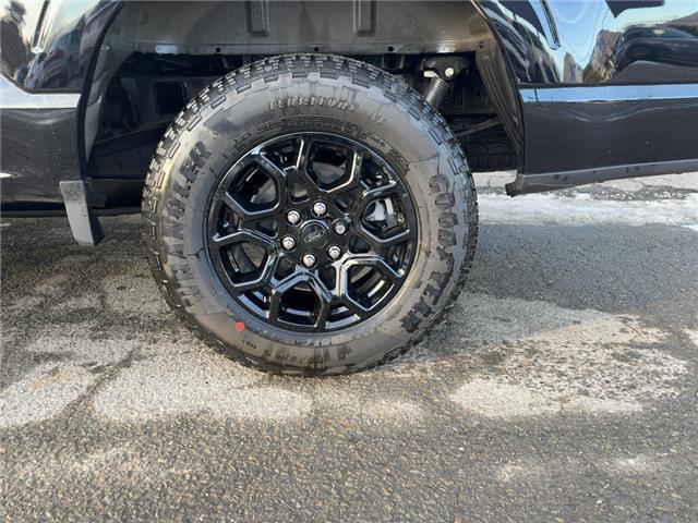 2025 Ford F-150 XLT (Stk: 0T5719) in Kamloops - Image 6 of 25