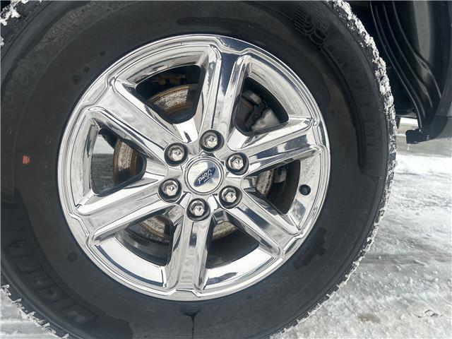 2025 Ford F-150 XLT (Stk: 2495) in Peterborough - Image 6 of 21 2025 Ford F-150 XLT (Stk: 2495) in Peterborough - Image 6 of 21