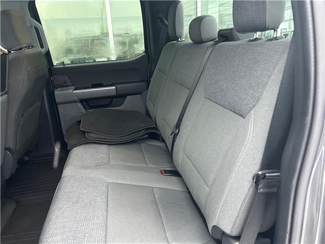 2025 Ford F-150 XLT (Stk: 2495) in Peterborough - Image 20 of 21 2025 Ford F-150 XLT (Stk: 2495) in Peterborough - Image 20 of 21