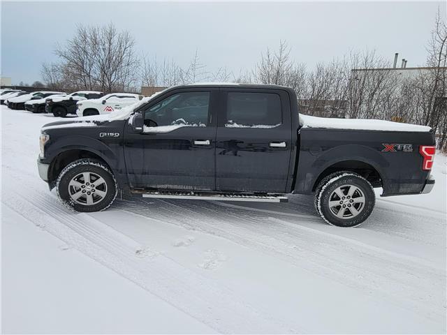 2020 Ford F-150 XLT (Stk: 14659) in Sudbury - Image 3 of 9