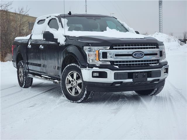 2020 Ford F-150 XLT (Stk: 14659) in Sudbury - Image 1 of 9