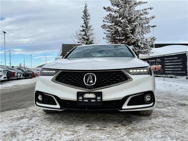 2019 Acura TLX Elite A-Spec (Stk: 251362A) in Calgary - Image 4 of 19