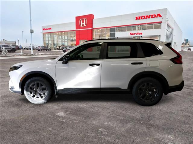2026 Honda CR-V Hybrid TrailSport (Stk: 4104) in Lethbridge - Image 6 of 24