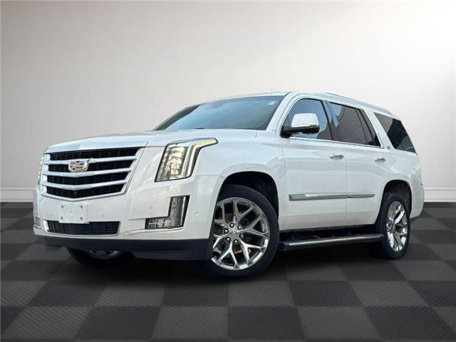 2020 Cadillac Escalade Premium Luxury (Stk: TL98832) in Windsor - Image 1 of 28