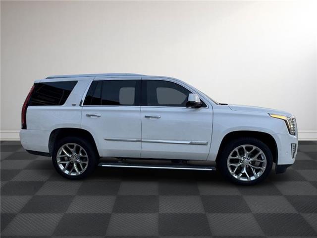 2020 Cadillac Escalade Premium Luxury (Stk: TL98832) in Windsor - Image 7 of 28